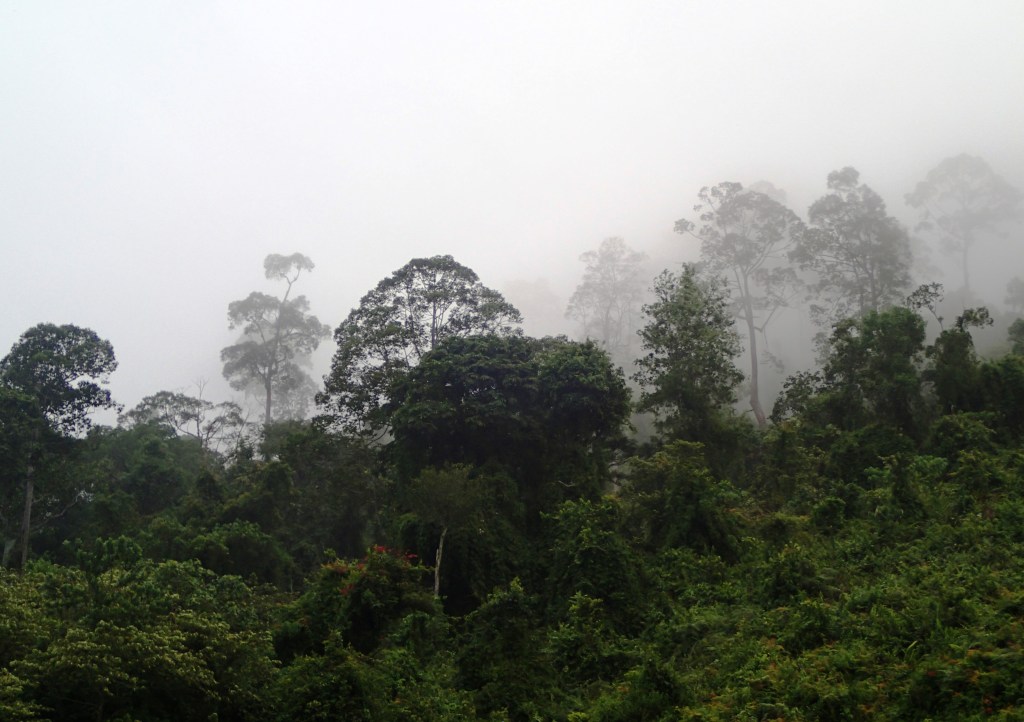 Borneo – Go for the past, stay for the&nbsp;present