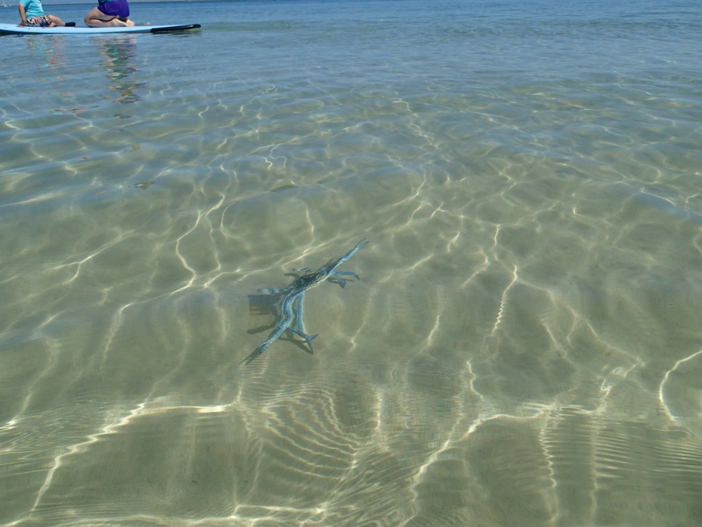 6PR Interview: Forget Broome Time, Try Rockingham&nbsp;Time