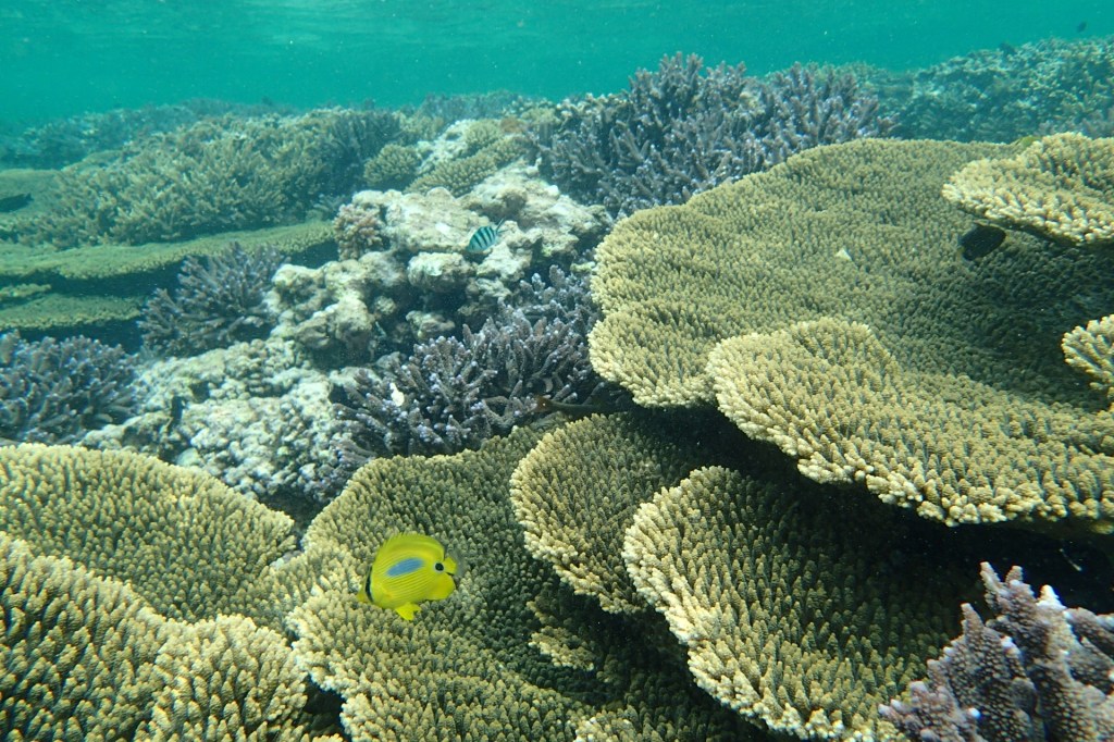 6PR Interview: Abrolhos Islands