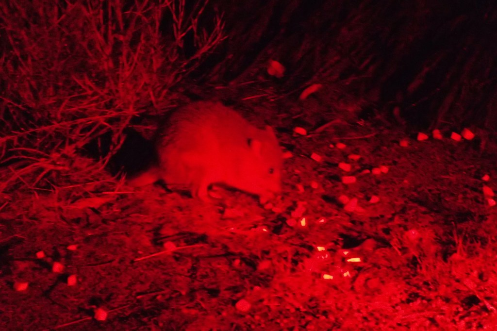 6PR Interview: Easter Travels by Road and Rail