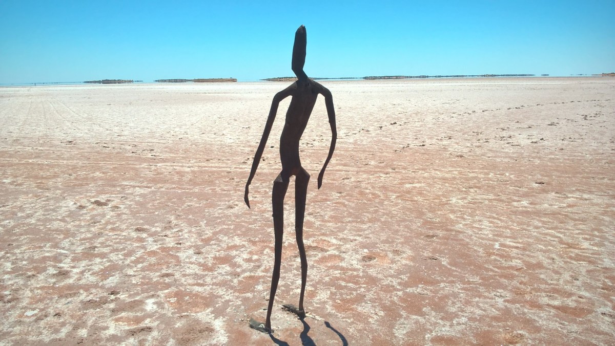 wp_20161130_10_48_08_pro