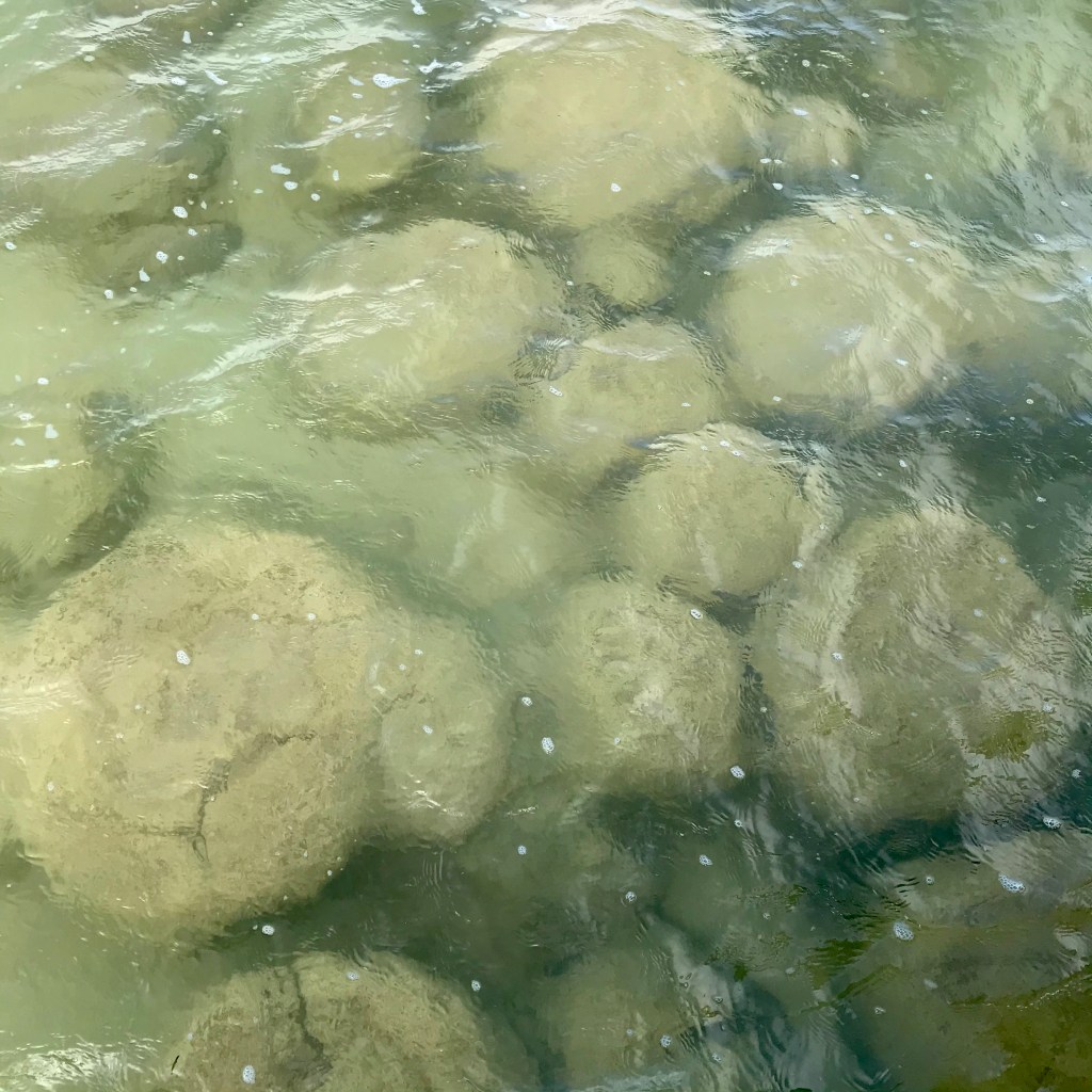ABC Perth Saturday Breakfast … Lake Clifton and Preston Beach are happily between here and&nbsp;there