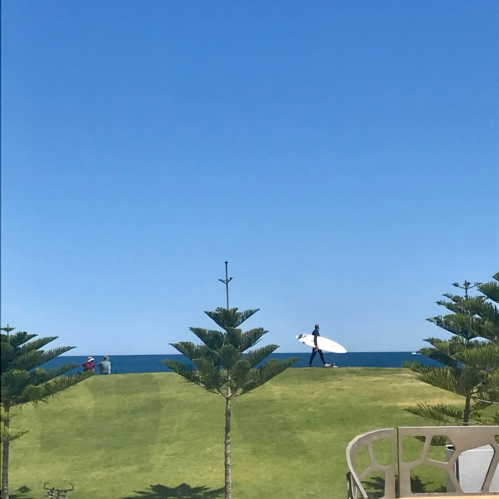 ABC Perth Saturday Breakfast: Snake pits to sunsets in Scarborough. There’s so much to see before you get to the&nbsp;sea.