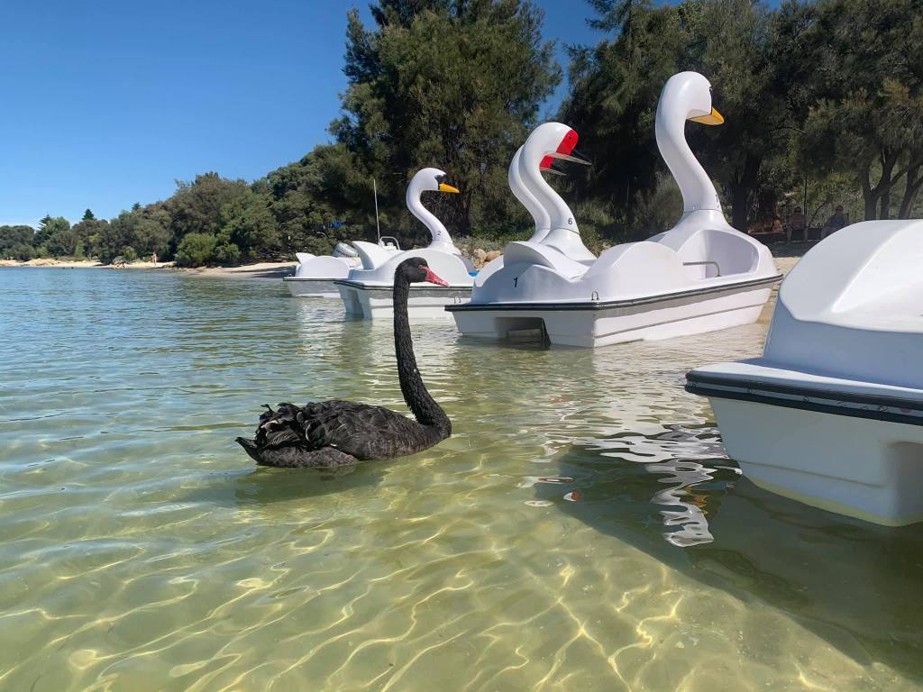 ABC Saturday Breakfast Rides the&nbsp;River