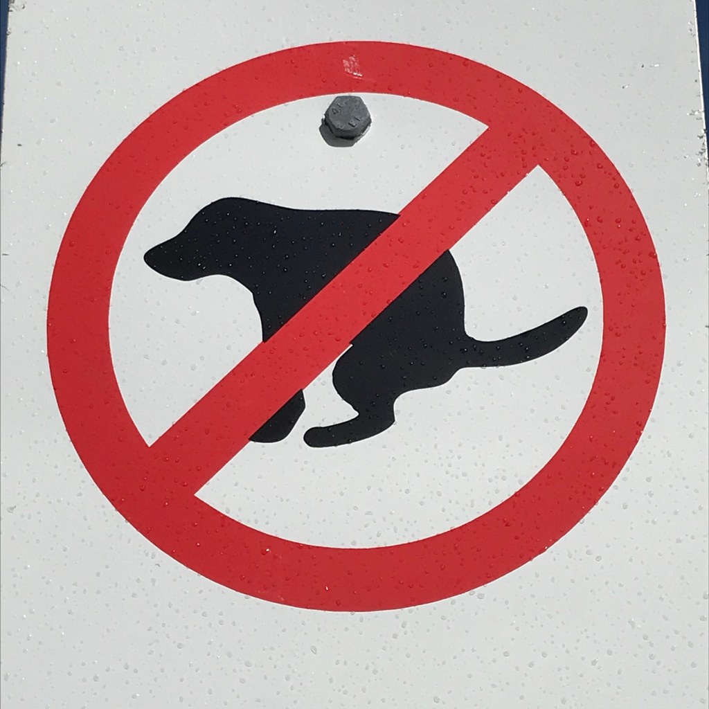 Dogs.  ABC Perth Saturday Breakfast finds Hidden Treasure for man’s best&nbsp;friend.